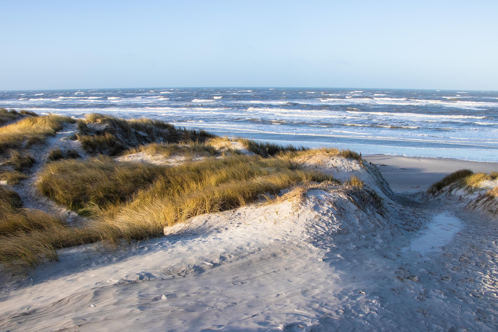 Sandklitter, marehalm og hav ved kysten