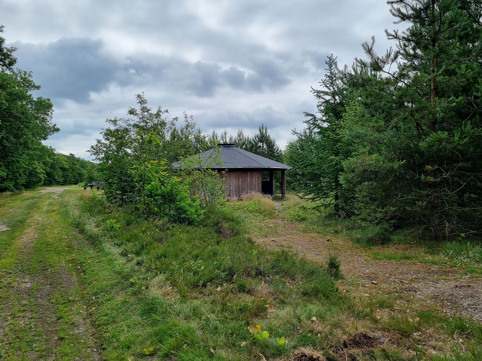 Forbindelsessti mellem Jensen og Sørensens Plantage og  Rønbjerg Plantage