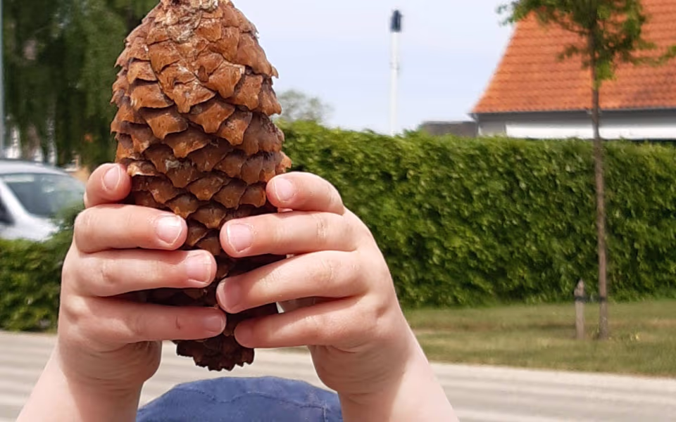 Der bygges insekthoteller