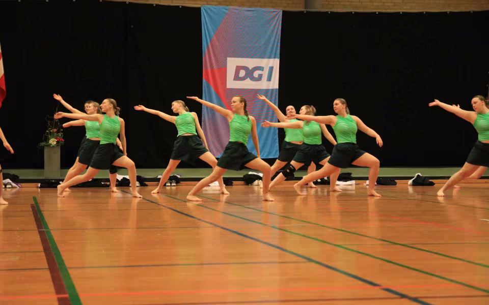 Stor succes ved DGI's opvisning