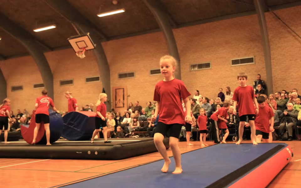 Stor succes ved DGI's opvisning