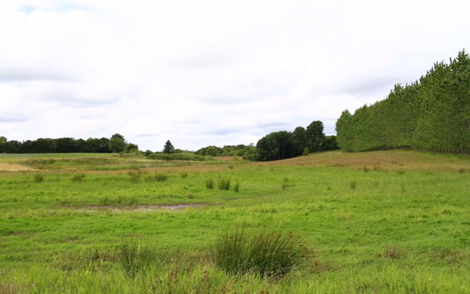 Hornes Vikingelund et paradis