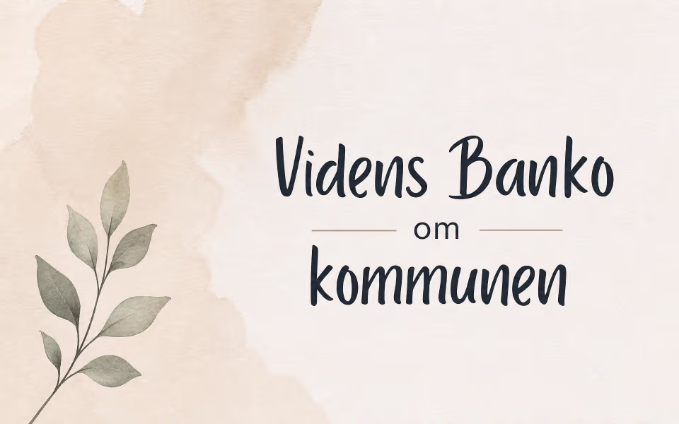 Videns Banko om kommunen