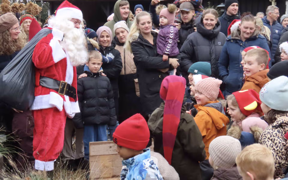 Juletræsfest