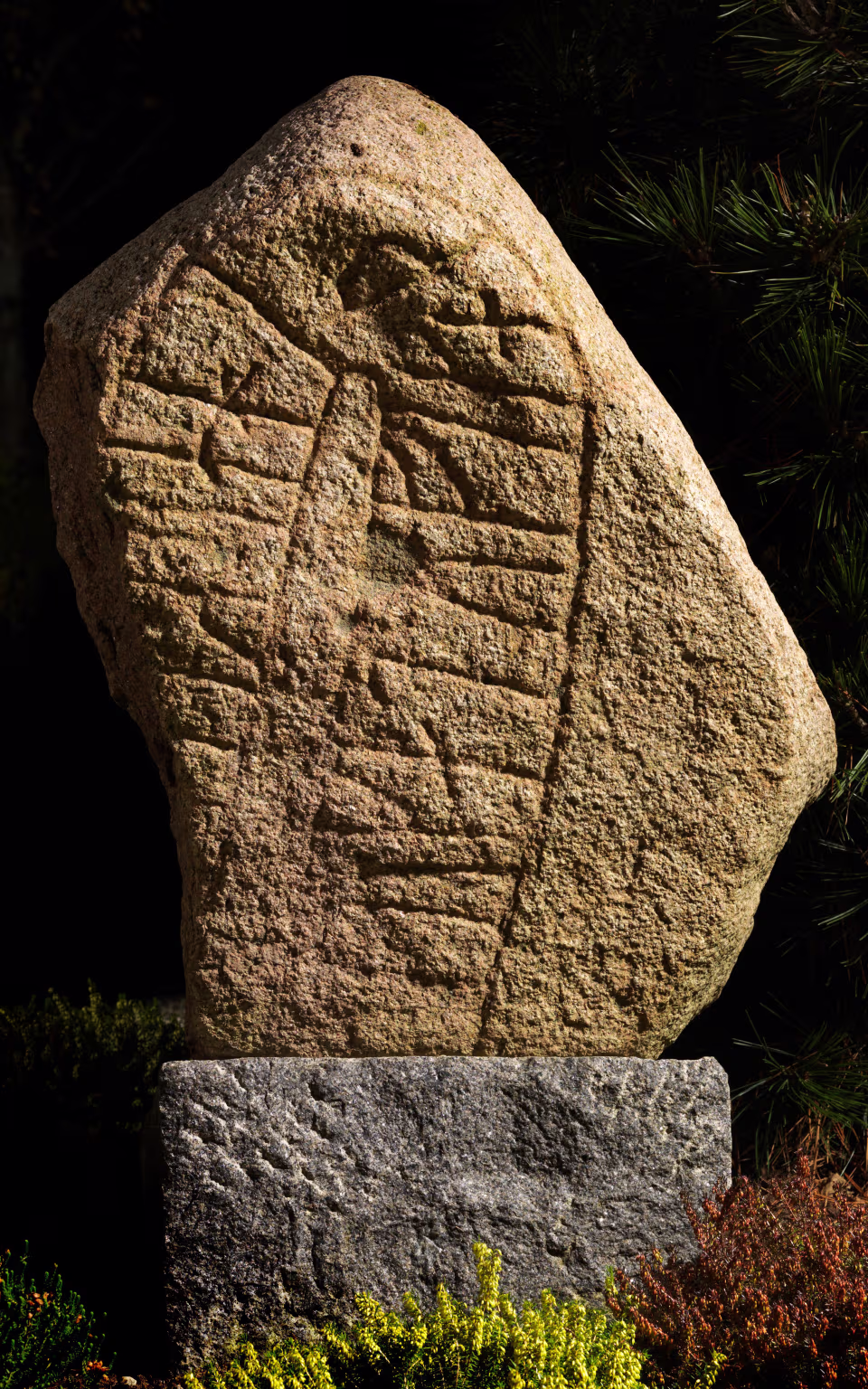 Runesten med indhugget figur ved Horne Kirke mellem nålegrene og lyng