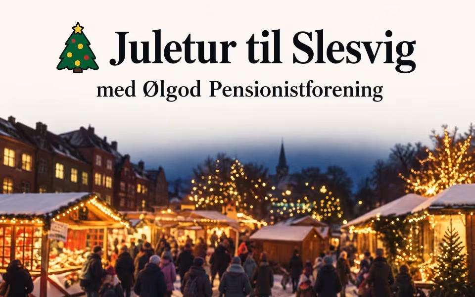Juletur til Slesvig med Ølgod Pensionistforening