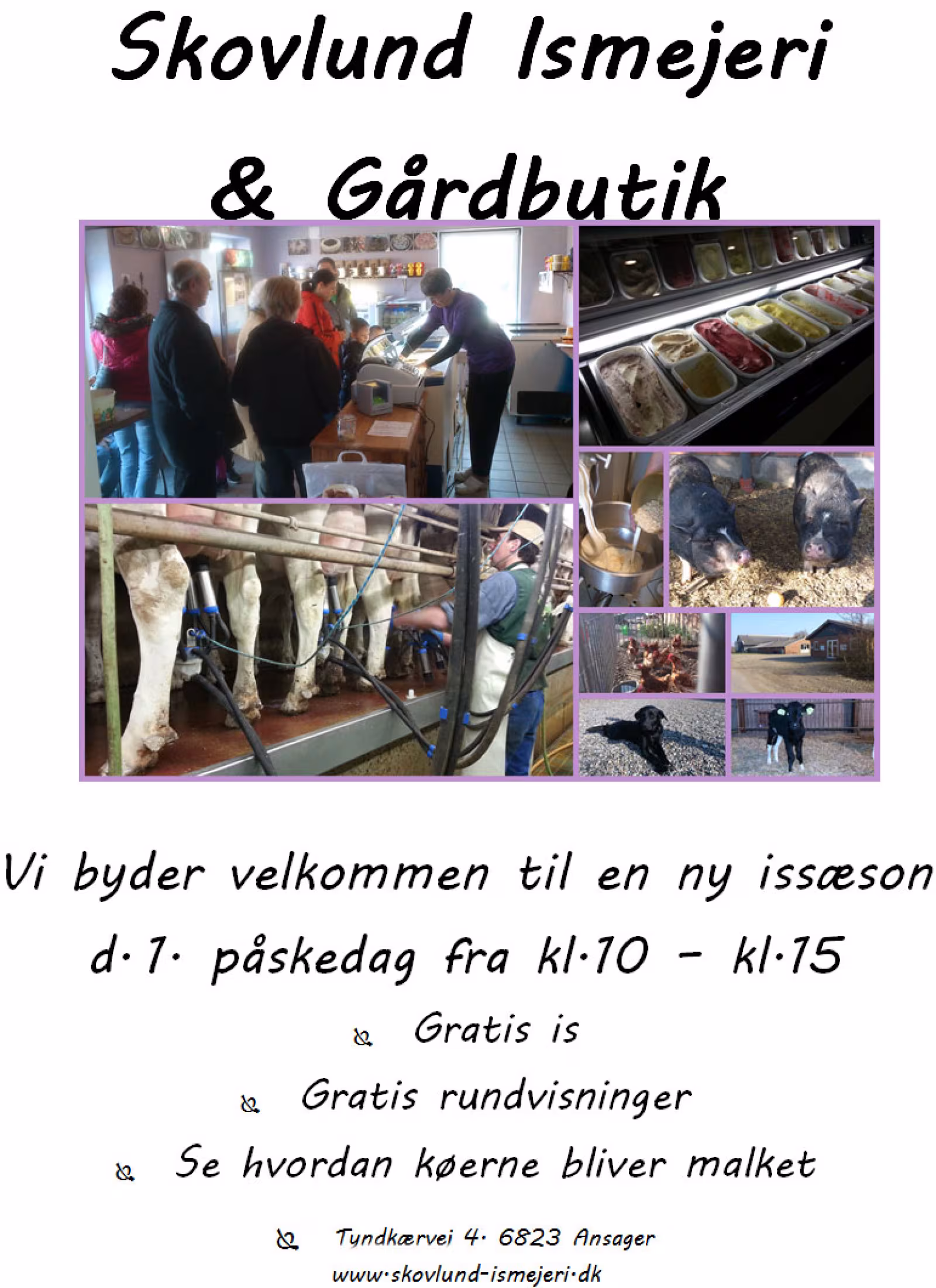 Ny issæson fejres med gratis is