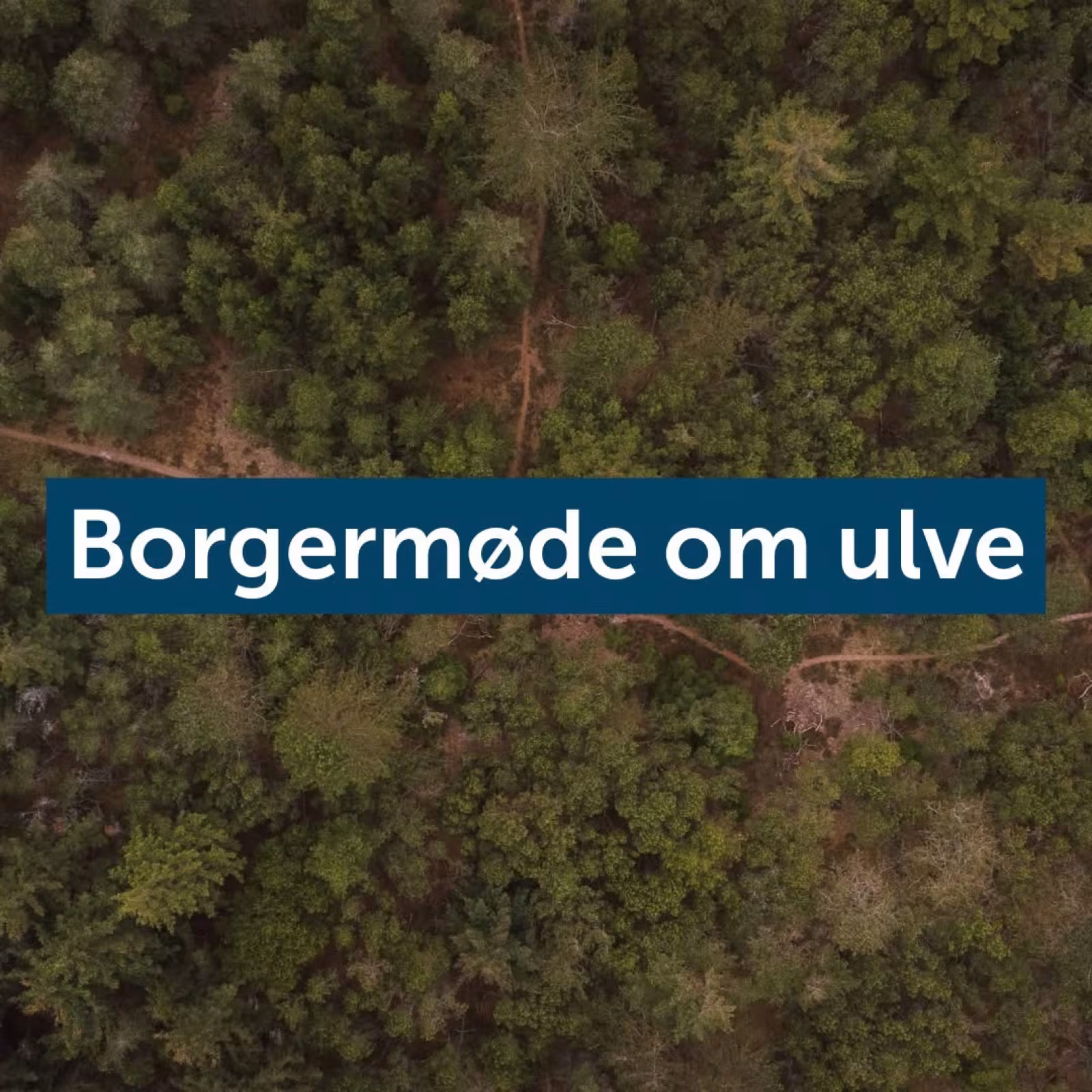 Borgermøde om ulve i Oksbøl