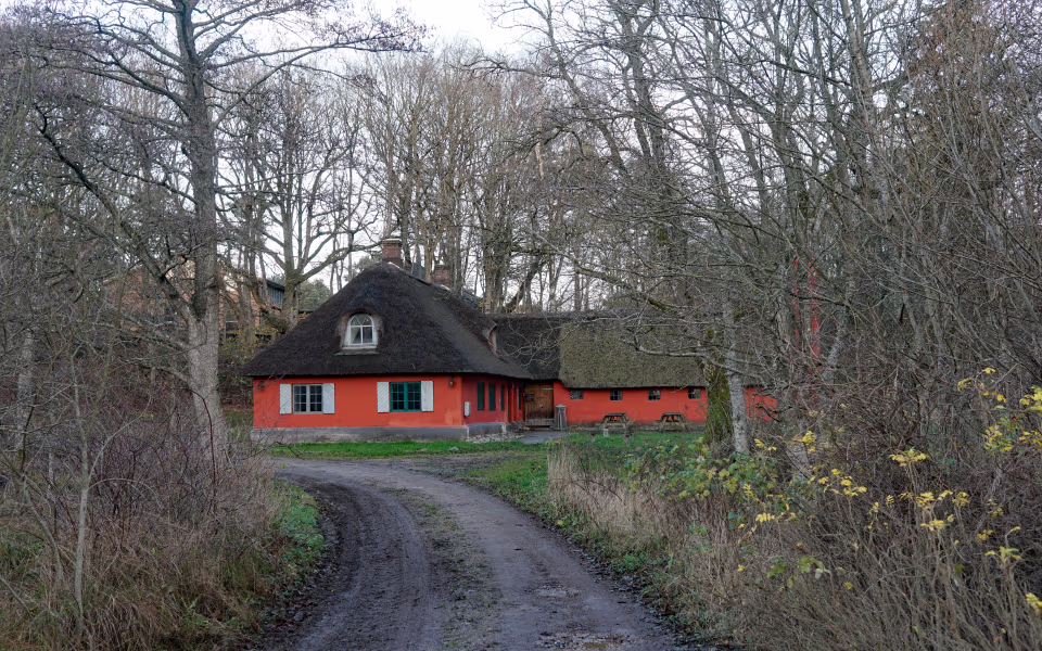 Rød stråtækt bygning ved skovvej på Assenbæk Mølle og Spejdercenter
