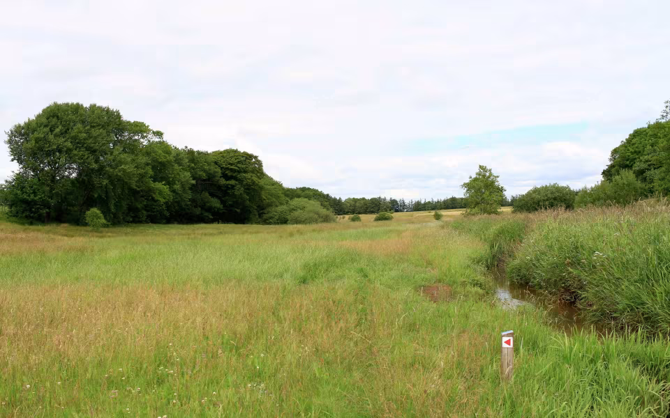 Hornes Vikingelund et paradis