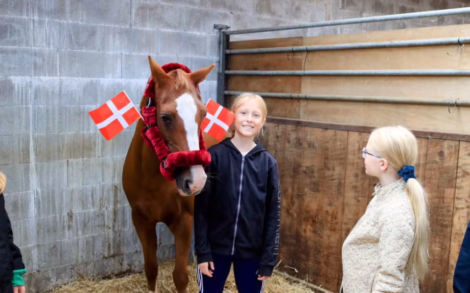 100 års fejring med 4H Børnedyrskue