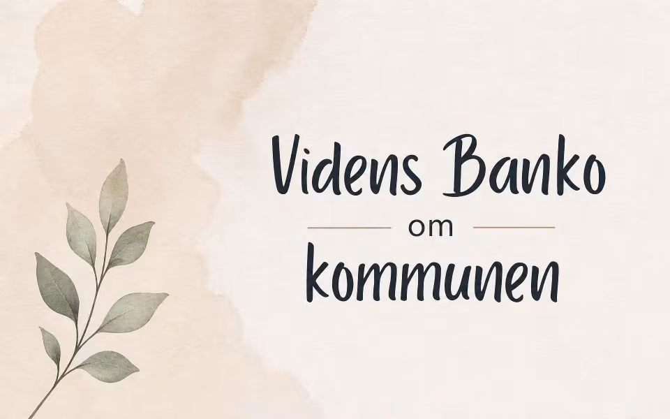 Videns Banko om kommunen