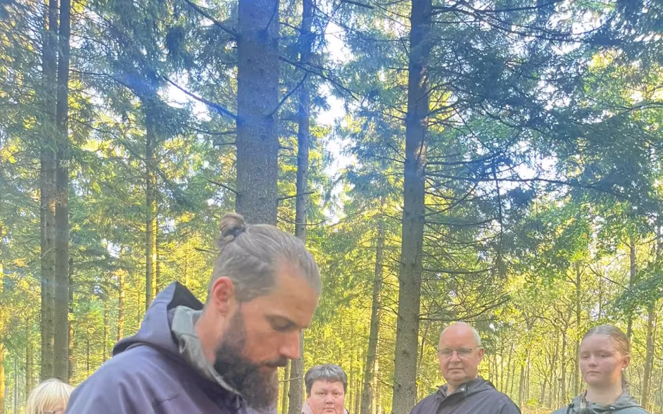 Svampejagt med smag på naturen