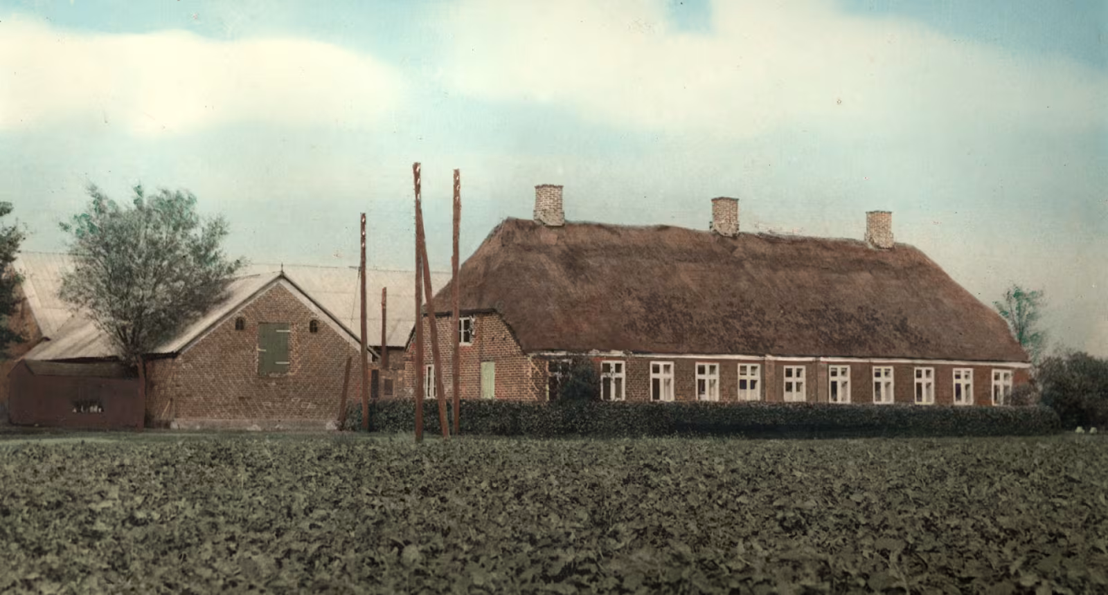 Holtgård