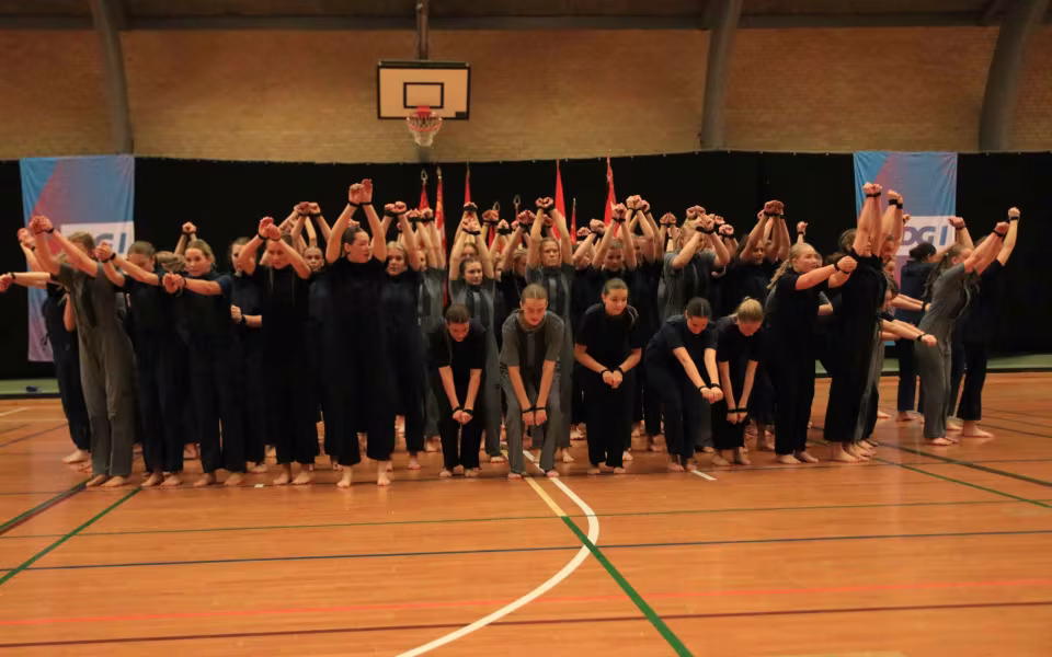 Stor succes ved DGI's opvisning