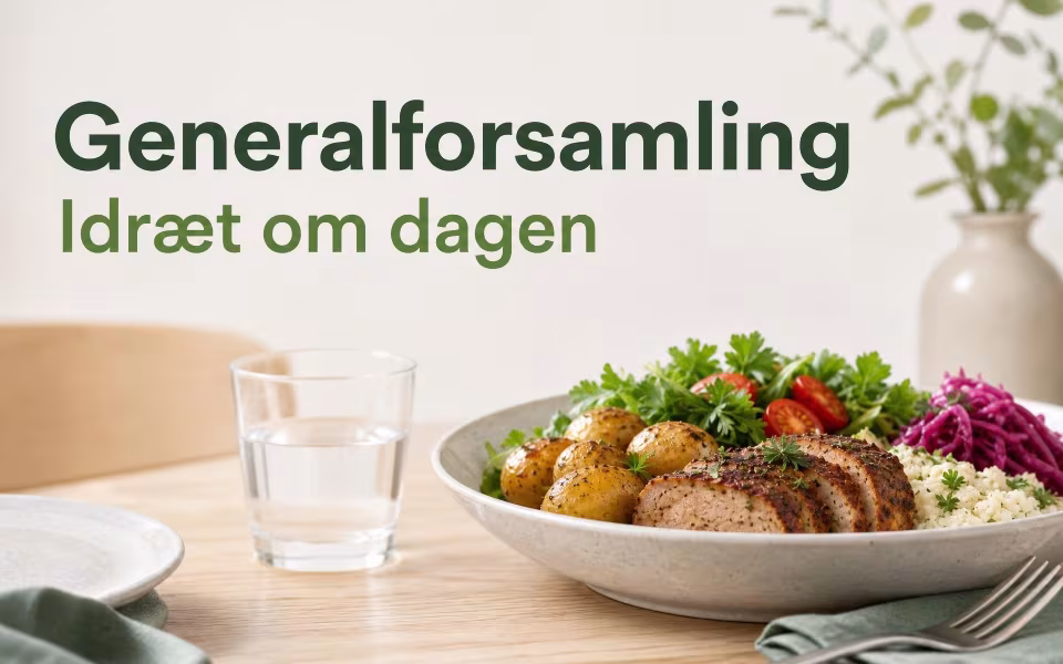 Generalforsamling - Idræt om dagen
