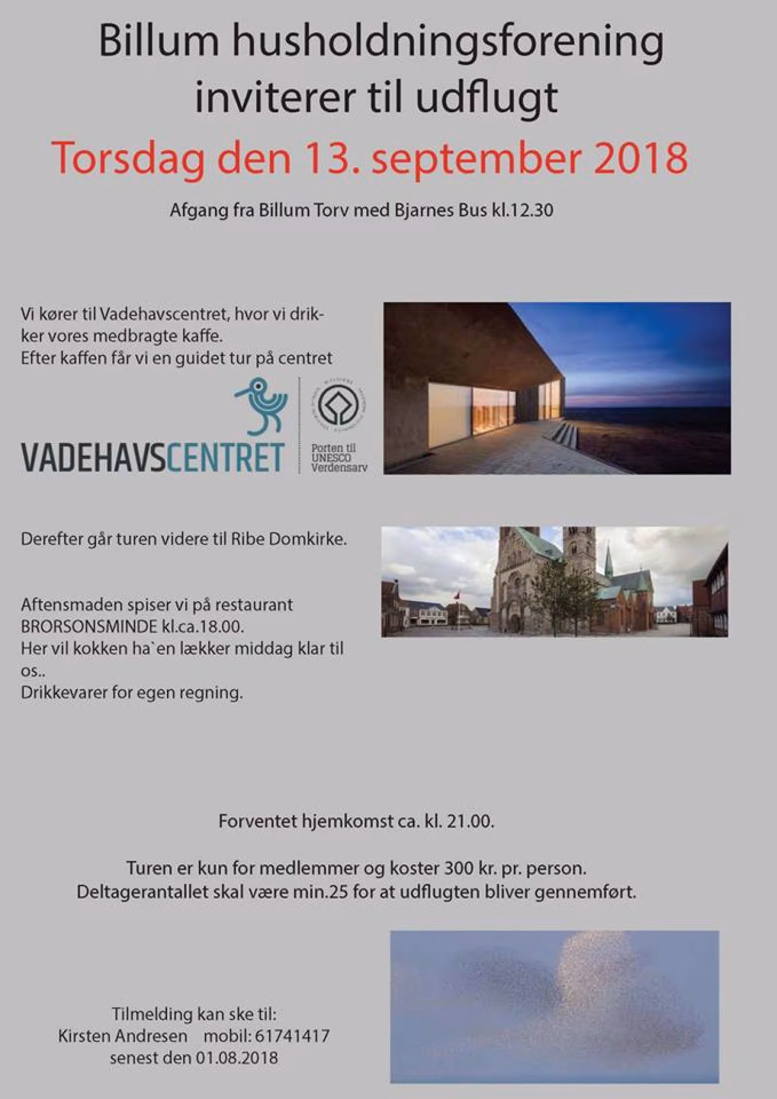 Udflugt til Vadehavscenteret og Ribe Domkirke