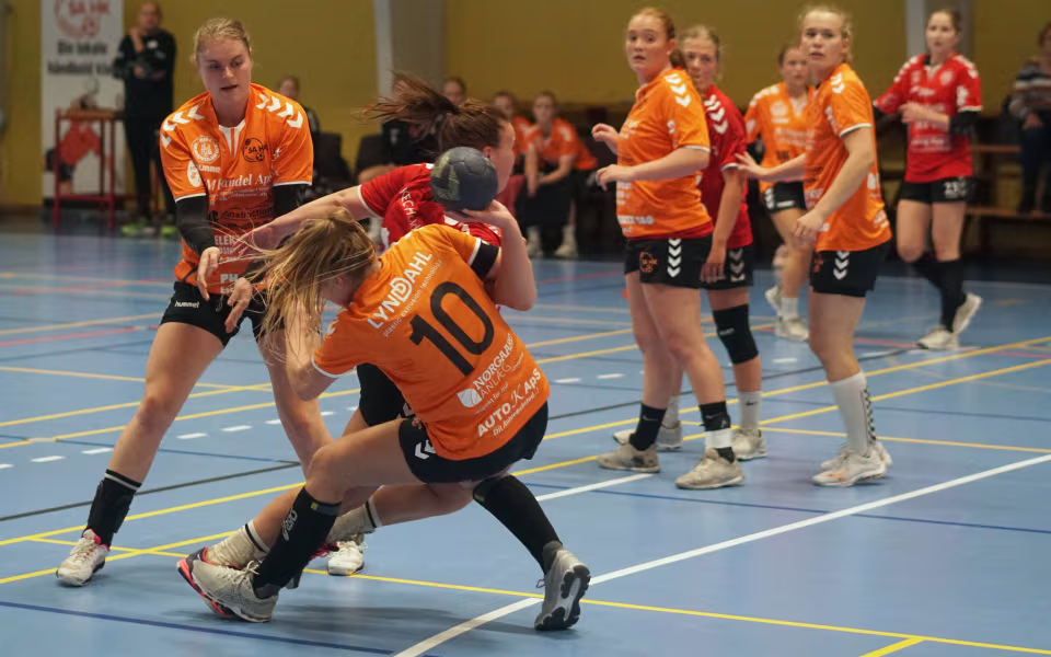 SA Ribe HK mod Lemvig 28-15 i Skovlund-Ansager Hallen
