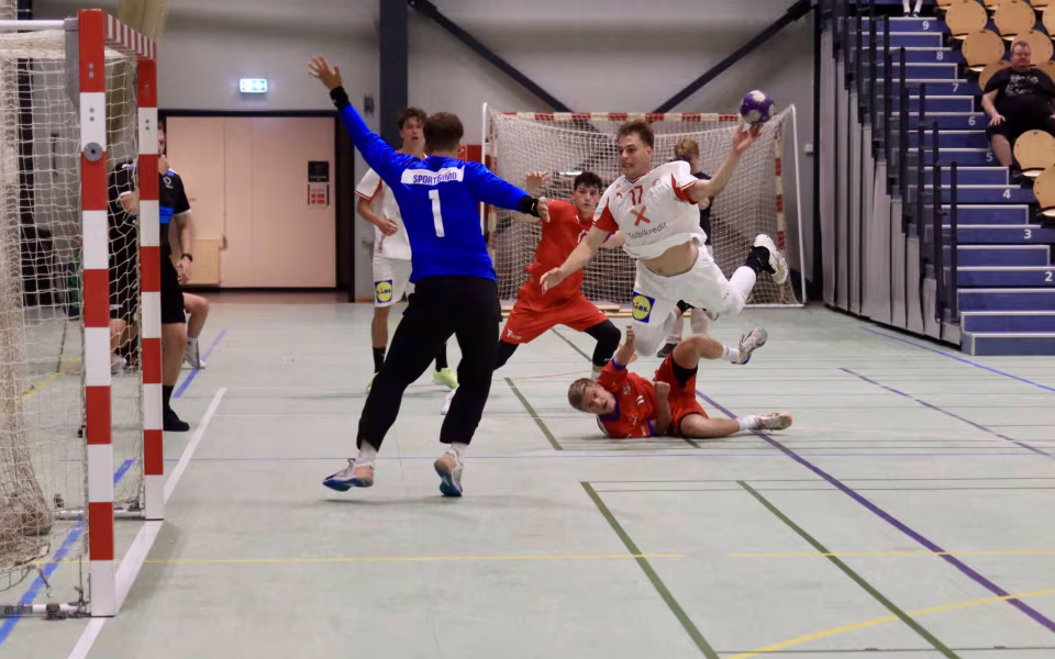 Danske talenter sejrede i Varde