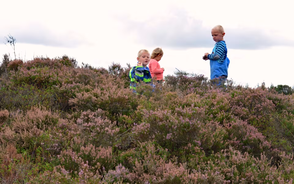 Naturligvis fandt vejen til Lillaland igen!