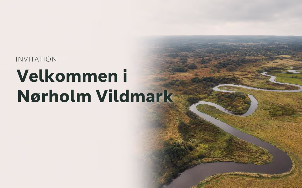 Invitation - velkommen i Nørholm Vildmark