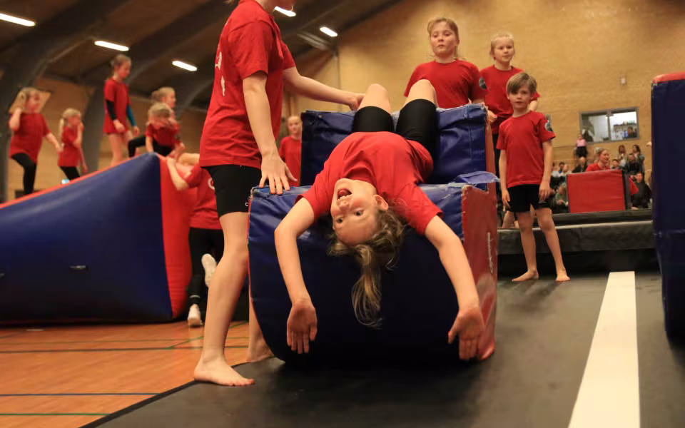 Stor succes ved DGI's opvisning