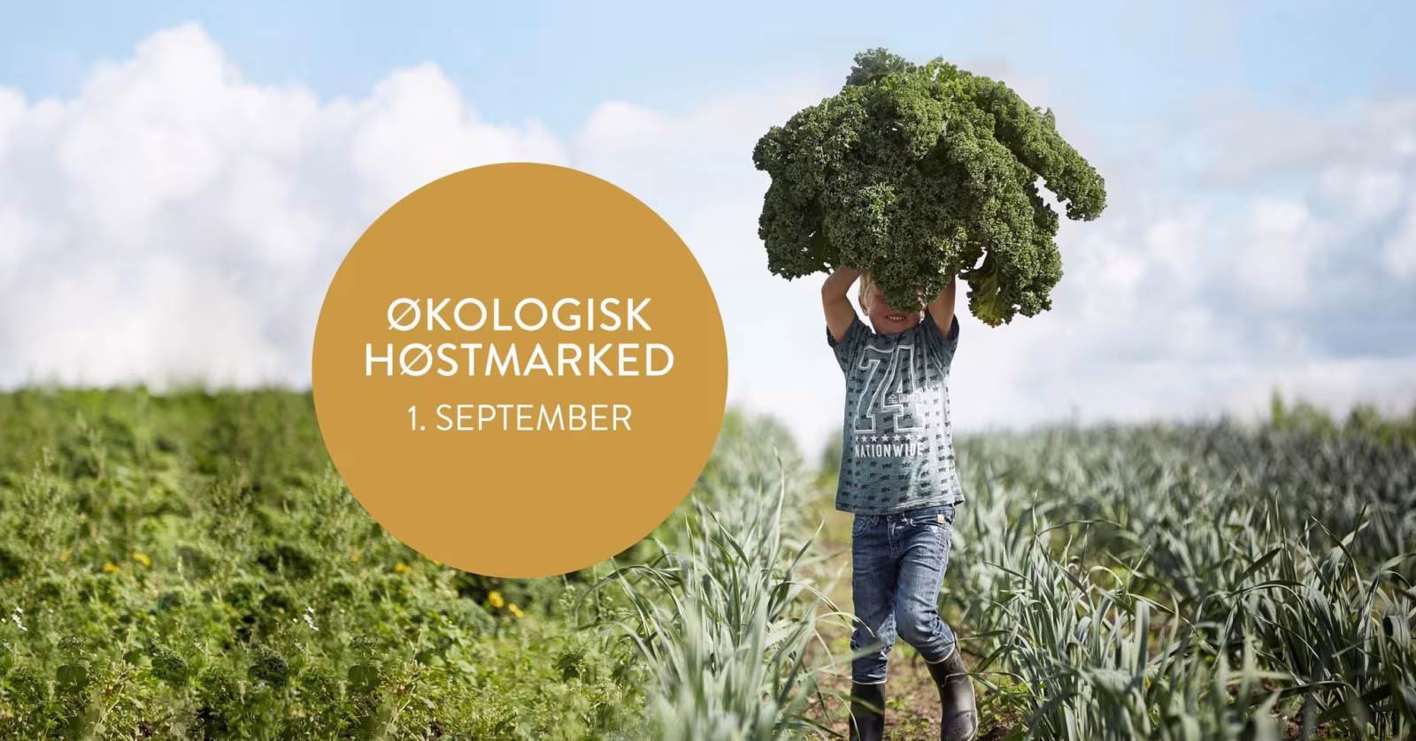 Økologisk  høstmarked 1. september