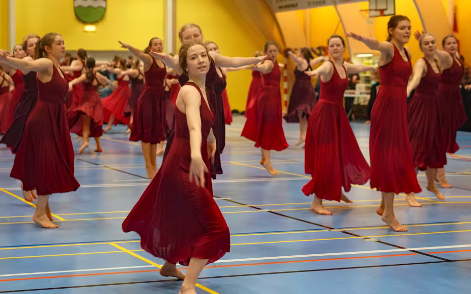 Gymnastikopvisning 2019