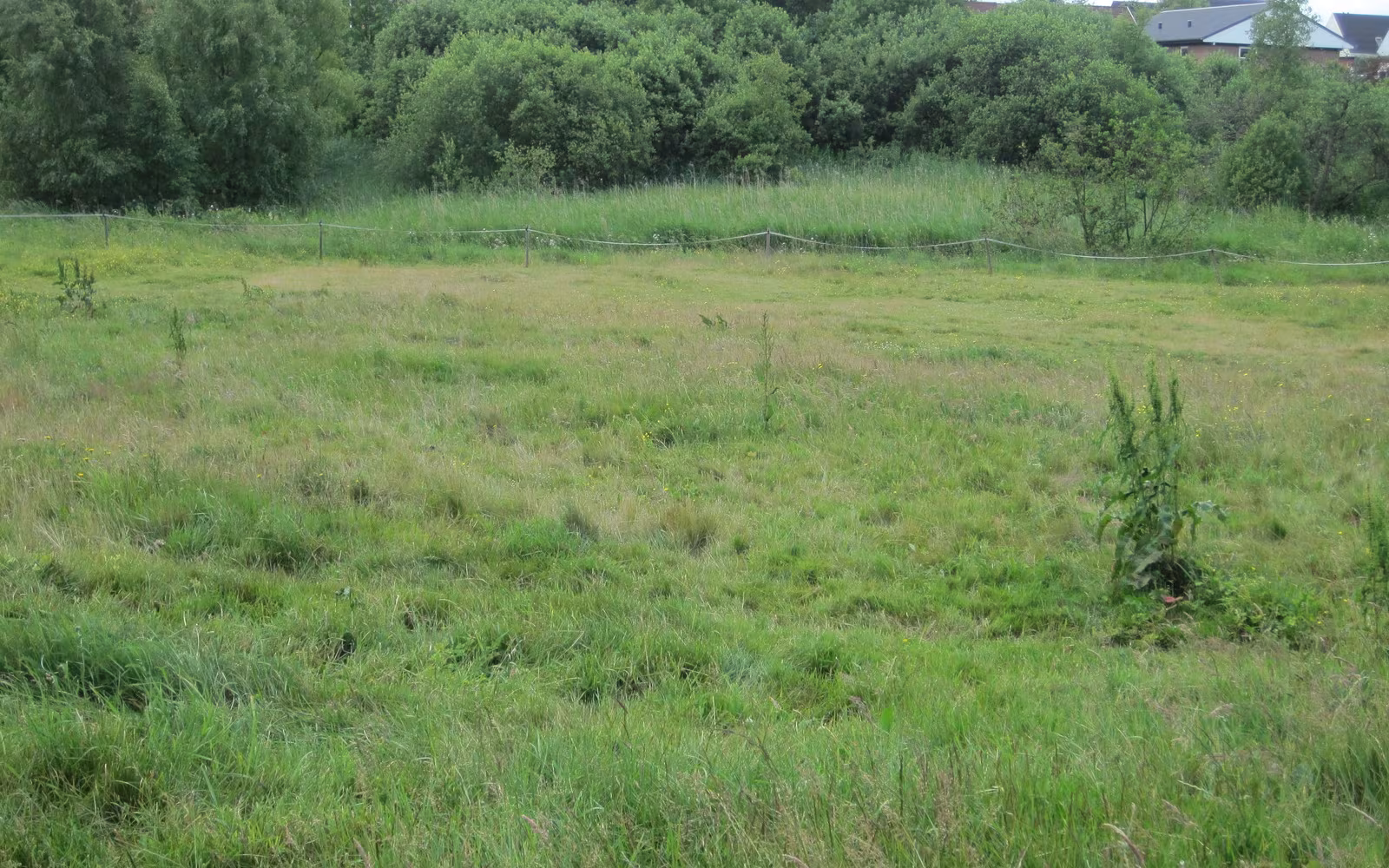 Thorsø Enge