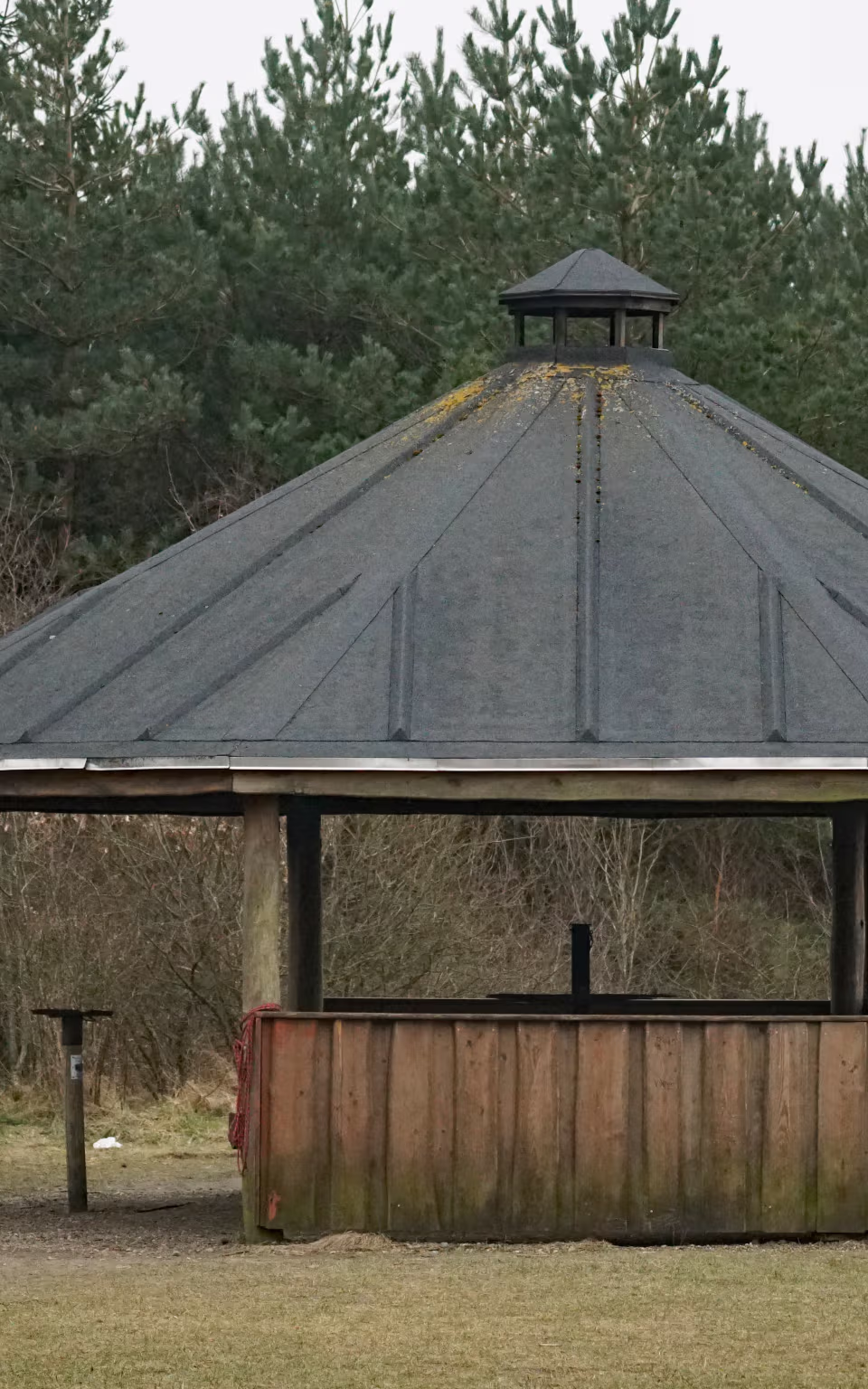Træpavillon ved Nysø Badesø foran tæt nåleskov