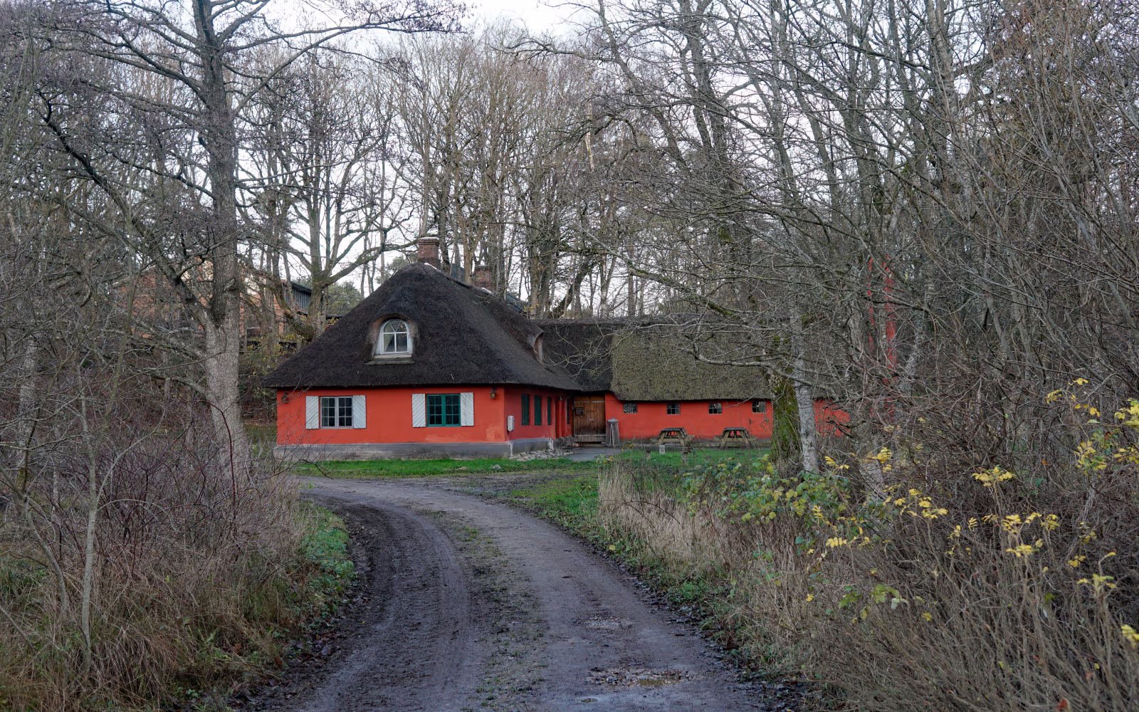 Rød stråtækt bygning ved skovvej på Assenbæk Mølle og Spejdercenter