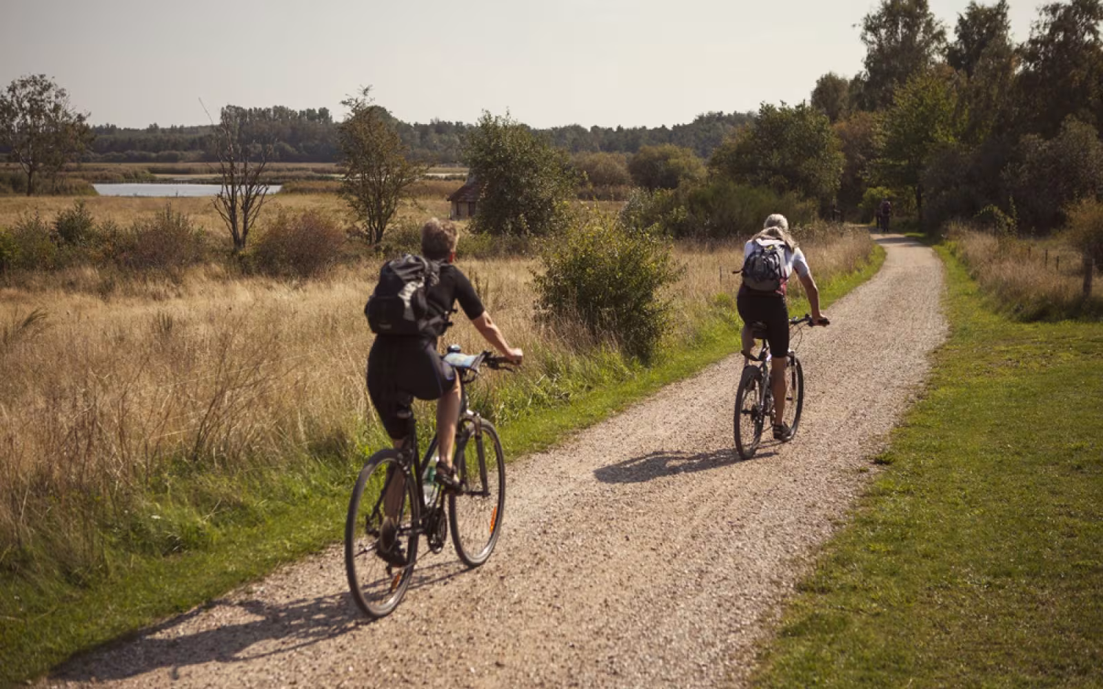 Afmærket cykelrute i Feldborg Nørreskov