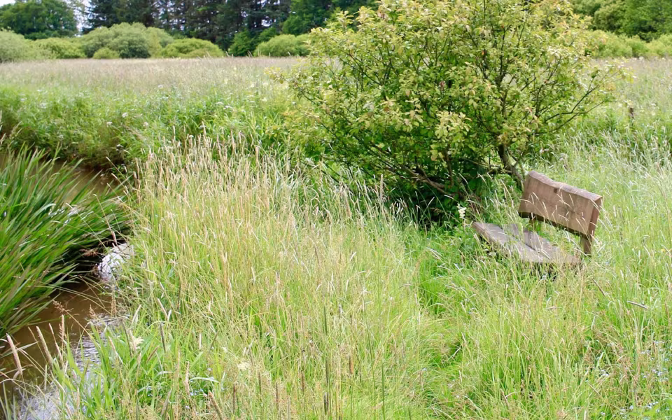 Hornes Vikingelund et paradis