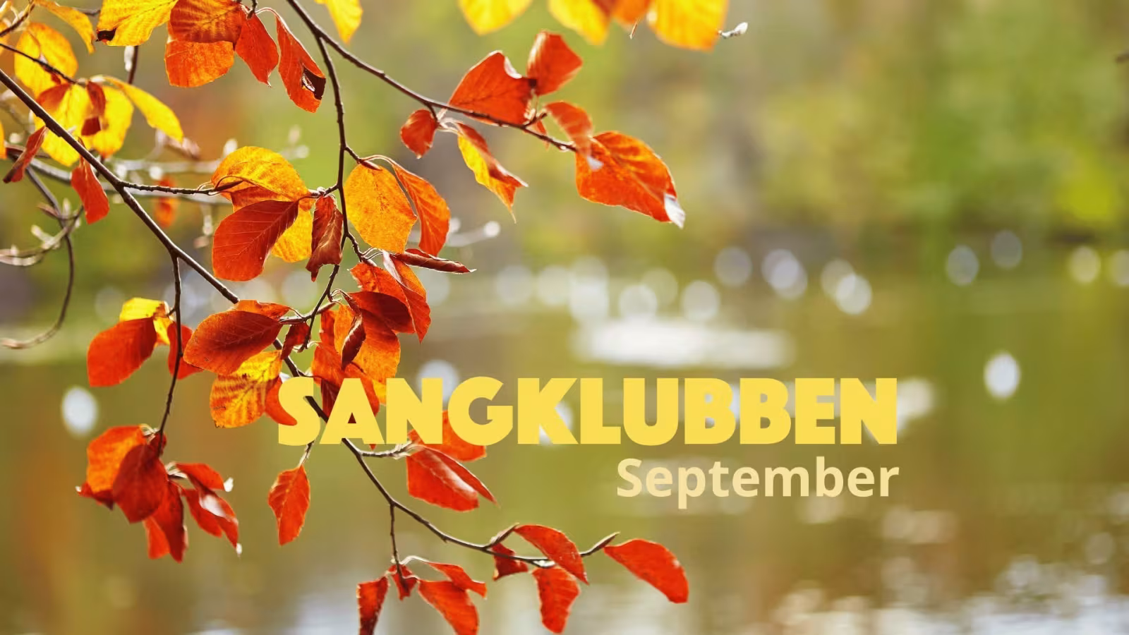 Sangklubben inviterer til otte sangaftener på Stålværket
