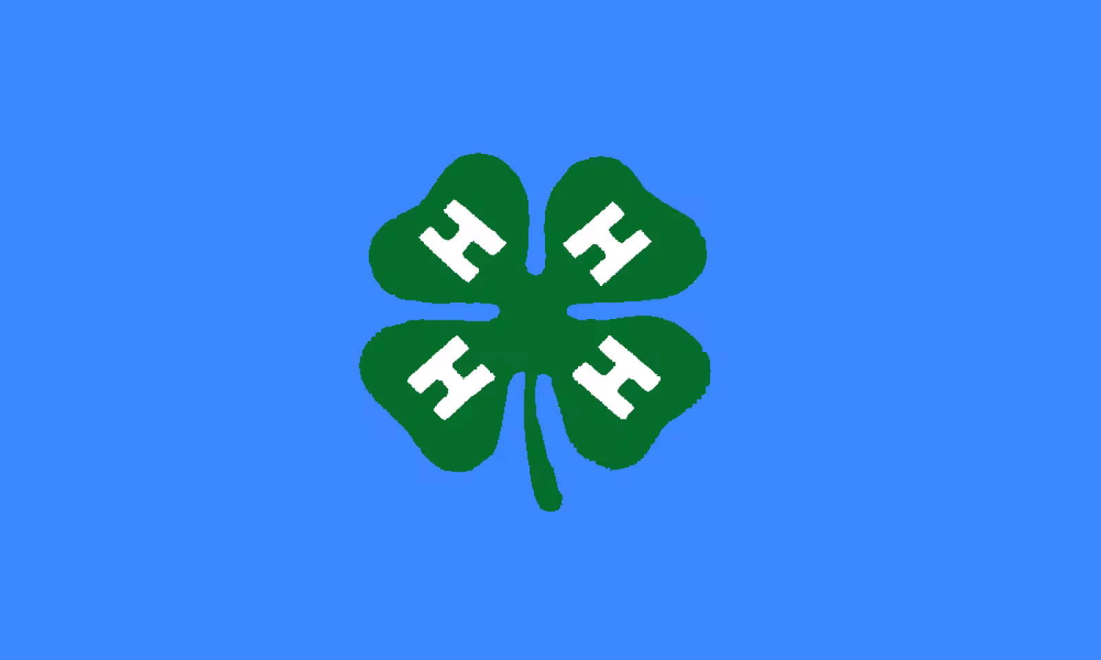 Kvong 4H