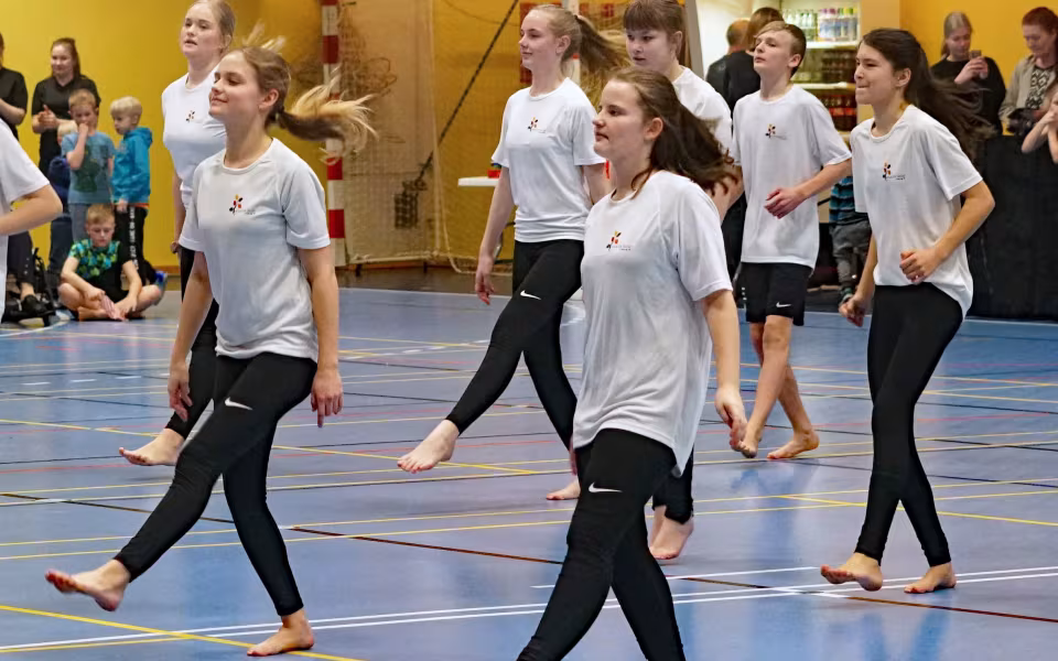Gymnastikopvisning 2019