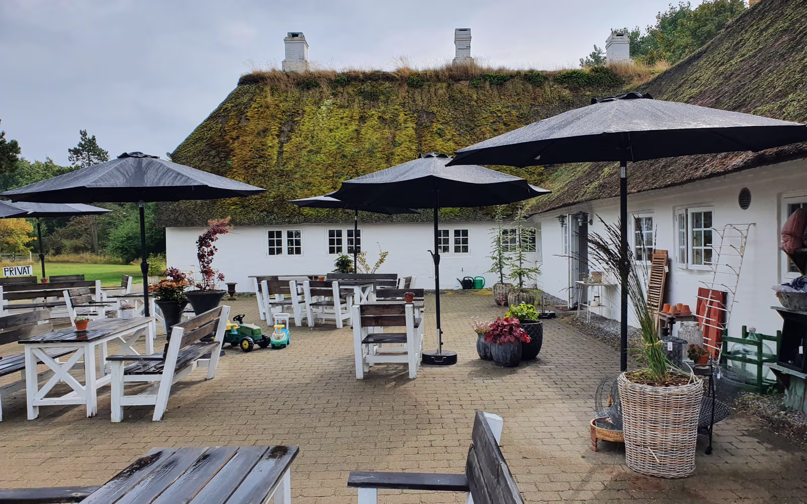 Cafégård ved Hattesgaard Café med parasoller, borde og mosbegroede stråtage