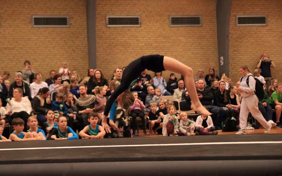 Stor succes ved DGI's opvisning
