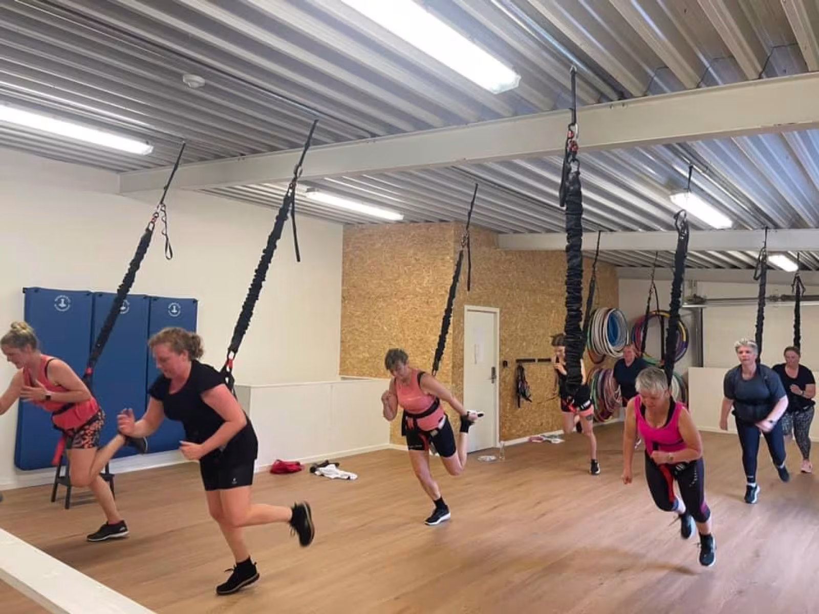 Gratis Bungee Under Motionsuge 41
