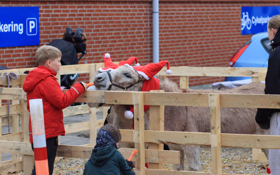 Julemarked samlede Billum i hallen