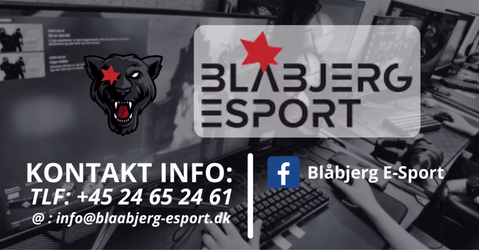 Blåbjerg E-Sport udvider med endnu et hold i CS:GO
