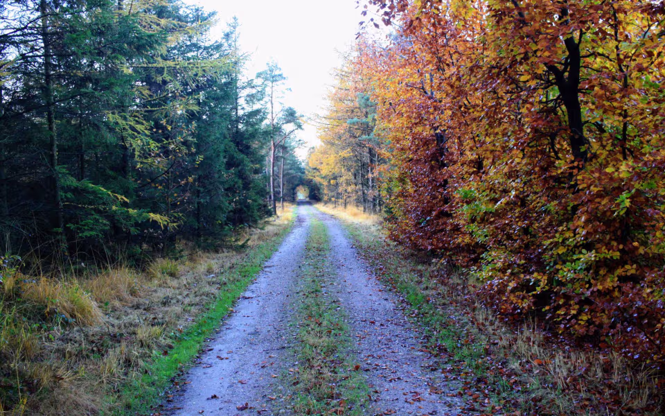 Oplev roen i Orten Plantage