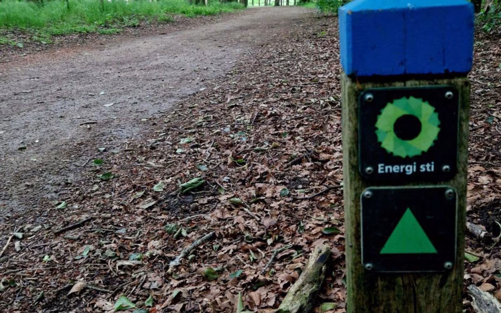 Grøn Energisti - Vognsbølparken