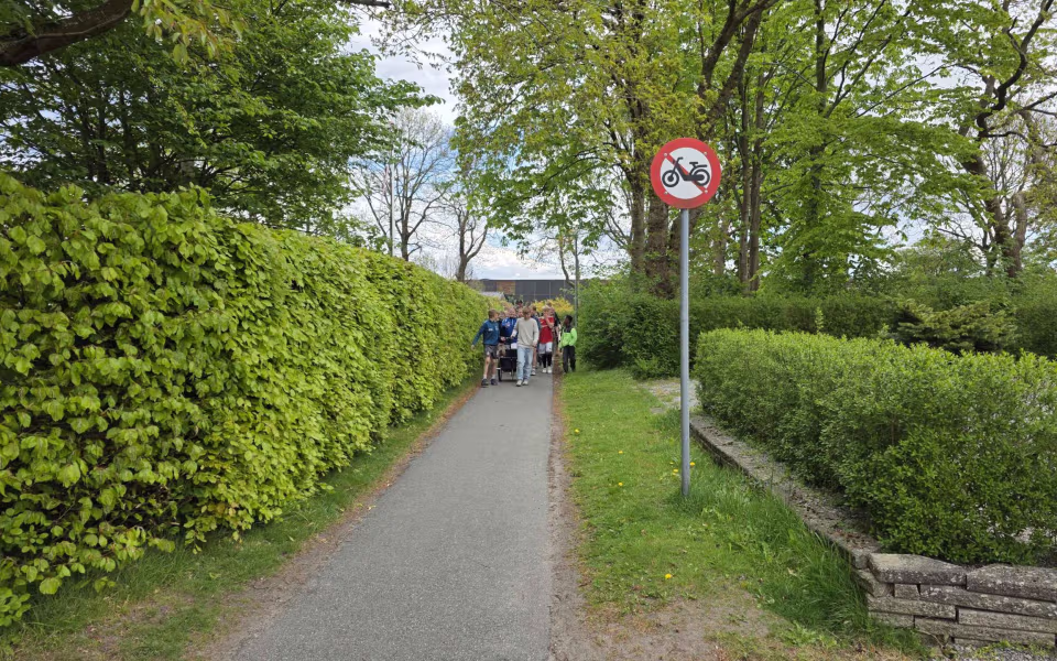 Stor deltagelse til Tistrup Screaming Carneval på torvet - Se de mange billeder