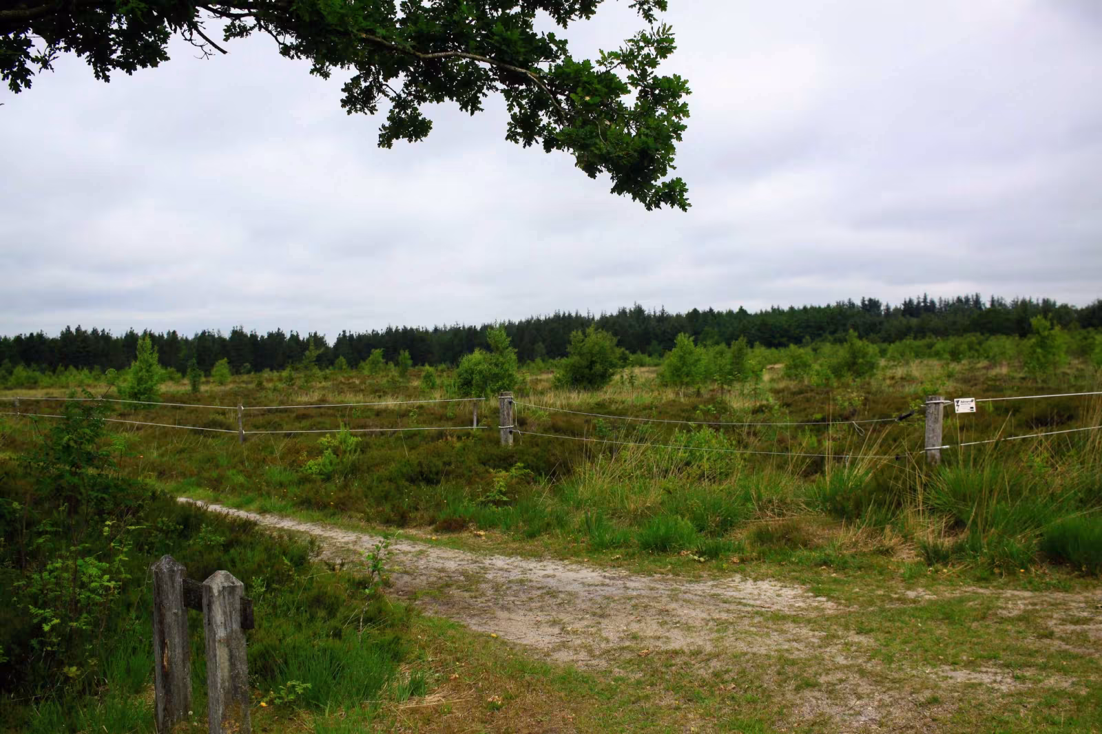 En ny vandrerute er tilgængelig på hjemmesiden Hiking Varde.dk.