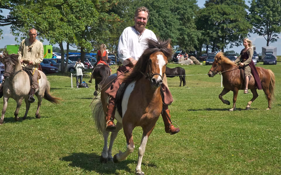 Jelling Vikingemarked 2010