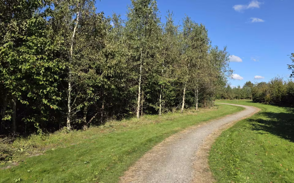 Tistrup DNA i aktion – Byskovens efterårskur.