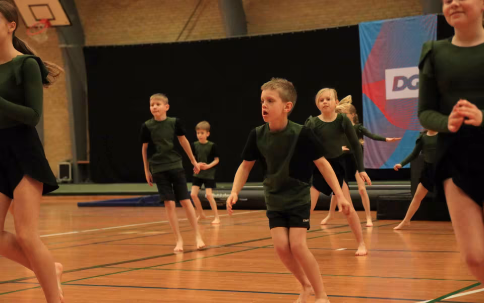 Stor succes ved DGI's opvisning