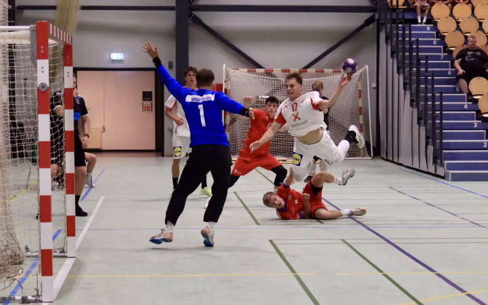 Danske talenter sejrede i Varde