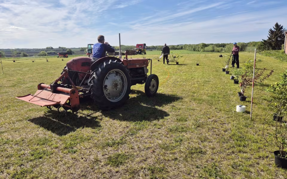 Krusbjerg. 10 års kamp, her kommer historien